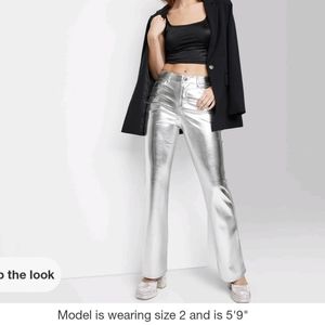 Wild Fable Metallic Pants